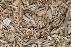 biomass boilers Dereham